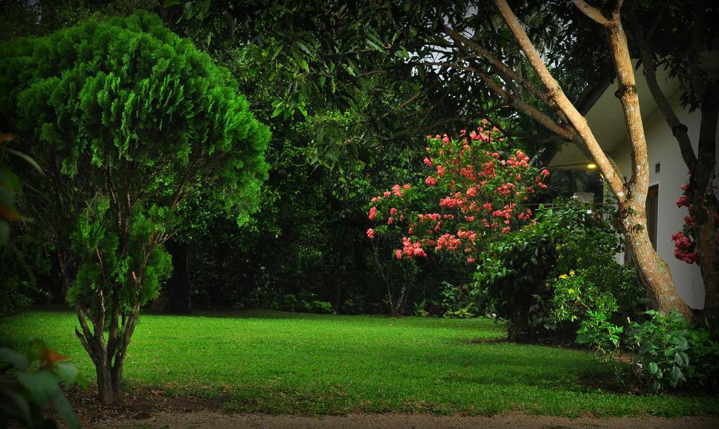 Knight'S Heaven Apartamento Kandy Exterior foto